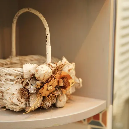 Ht Maximus ローマ